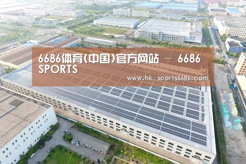 案例展示二