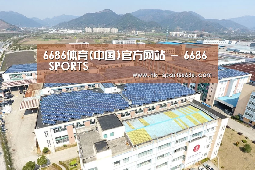 案例展示二