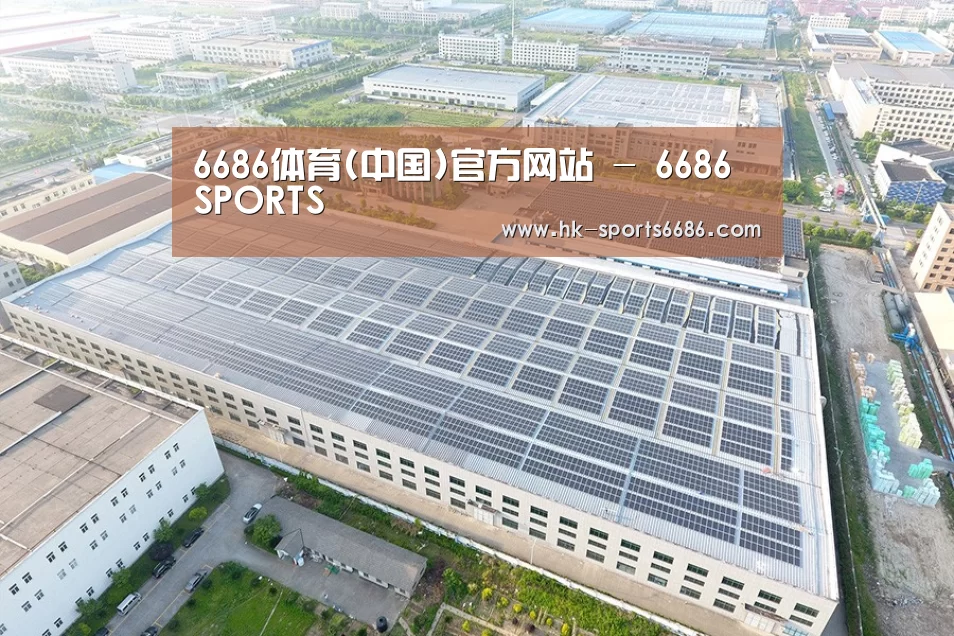 案例展示三
