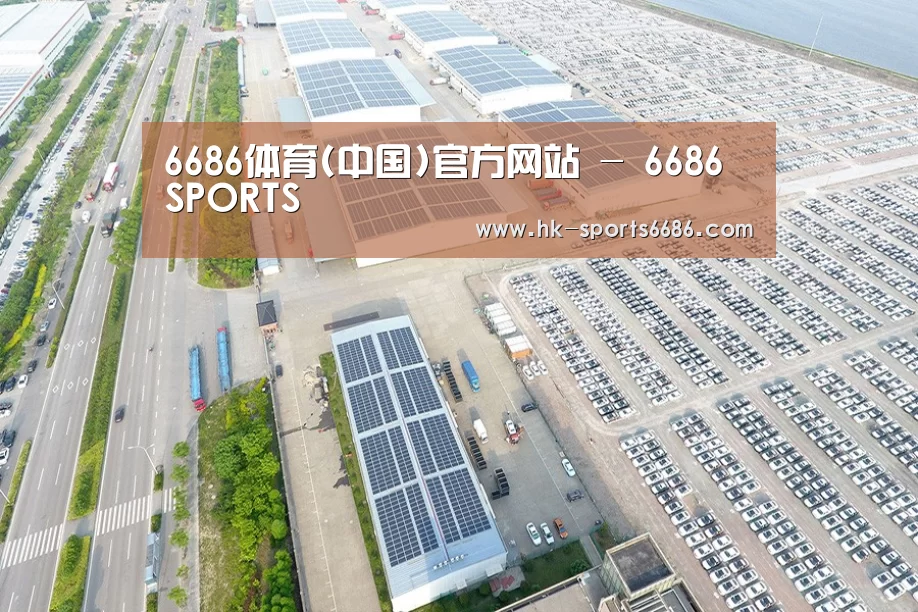 案例展示四