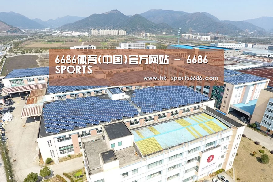 案例展示三