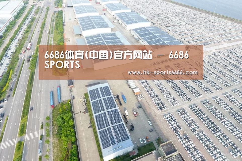 案例展示三